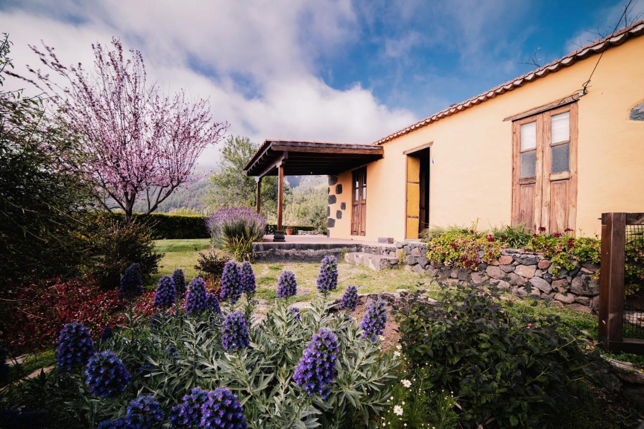 Casa Elena Villa ติคาราเฟ ภายนอก รูปภาพ