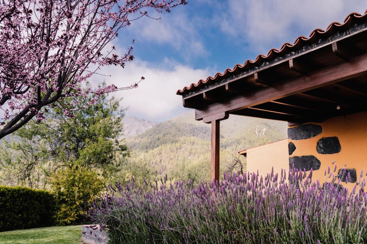 Casa Elena Villa ติคาราเฟ ภายนอก รูปภาพ